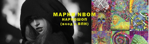 ГАЛЛЮЦИНОГЕННЫЕ ГРИБЫ Алексин