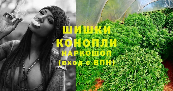 ГАЛЛЮЦИНОГЕННЫЕ ГРИБЫ Алексин