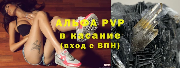 ГАЛЛЮЦИНОГЕННЫЕ ГРИБЫ Алексин